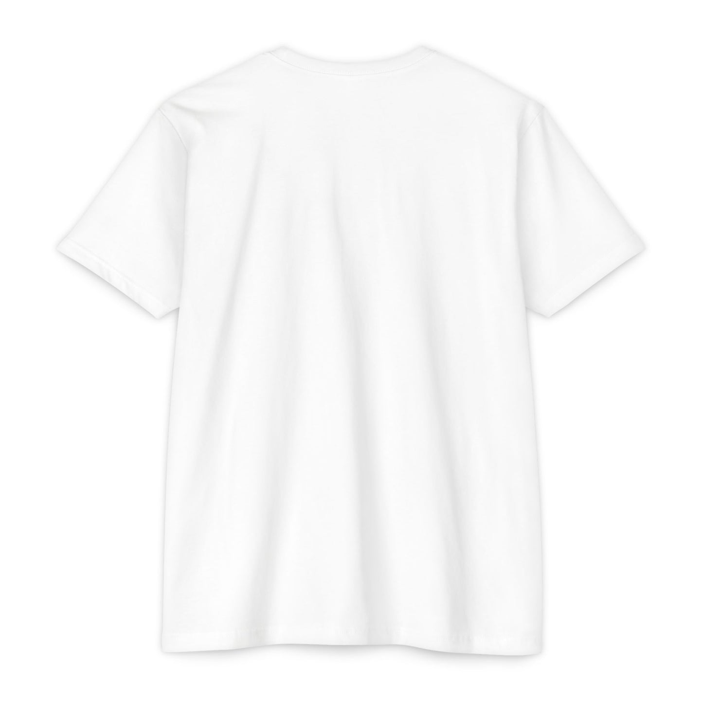 Football Coach T-Shirt, Perfect for Sports Fans, Game Day Gift, Unisex Tee, Couch Coach Shirt, Holiday Apparel, Football, Team shirt, Most likely to