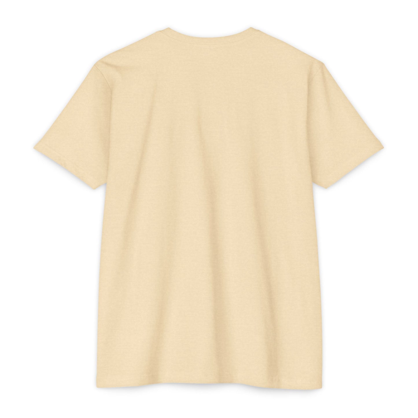Football Coach T-Shirt, Perfect for Sports Fans, Game Day Gift, Unisex Tee, Couch Coach Shirt, Holiday Apparel, Football, Team shirt, Most likely to