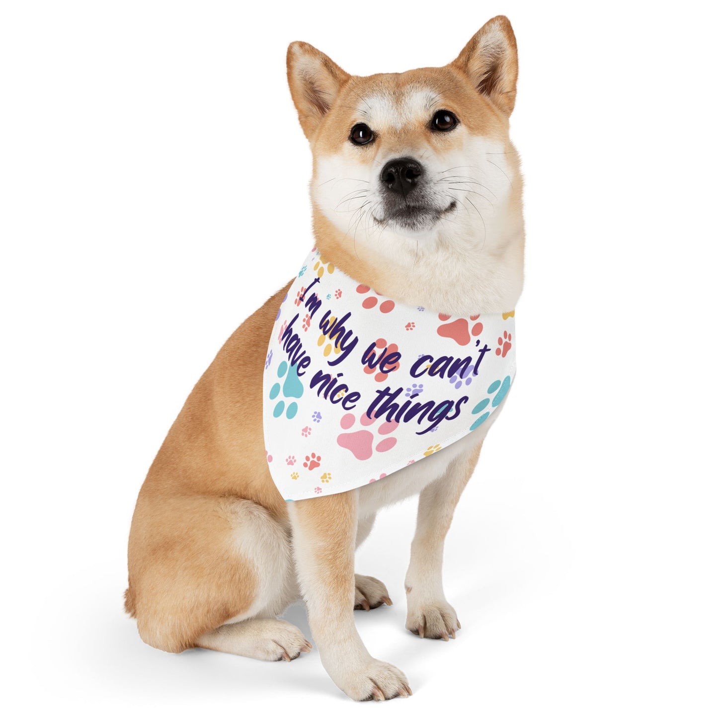 Pet Bandana Collar — "I’m Why We Can’t Have Nice Things" Paw Print Collar Accessory