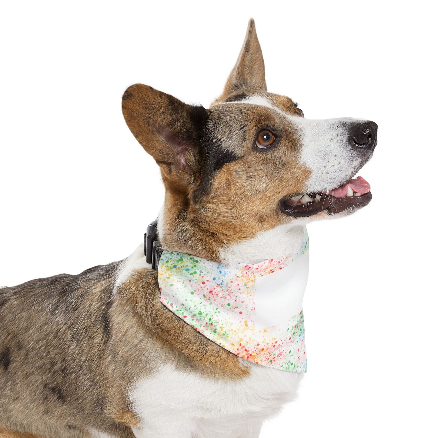 Personalized Watercolor Confetti Pet Bandana Collar — Colorful Dog & Cat Accessory