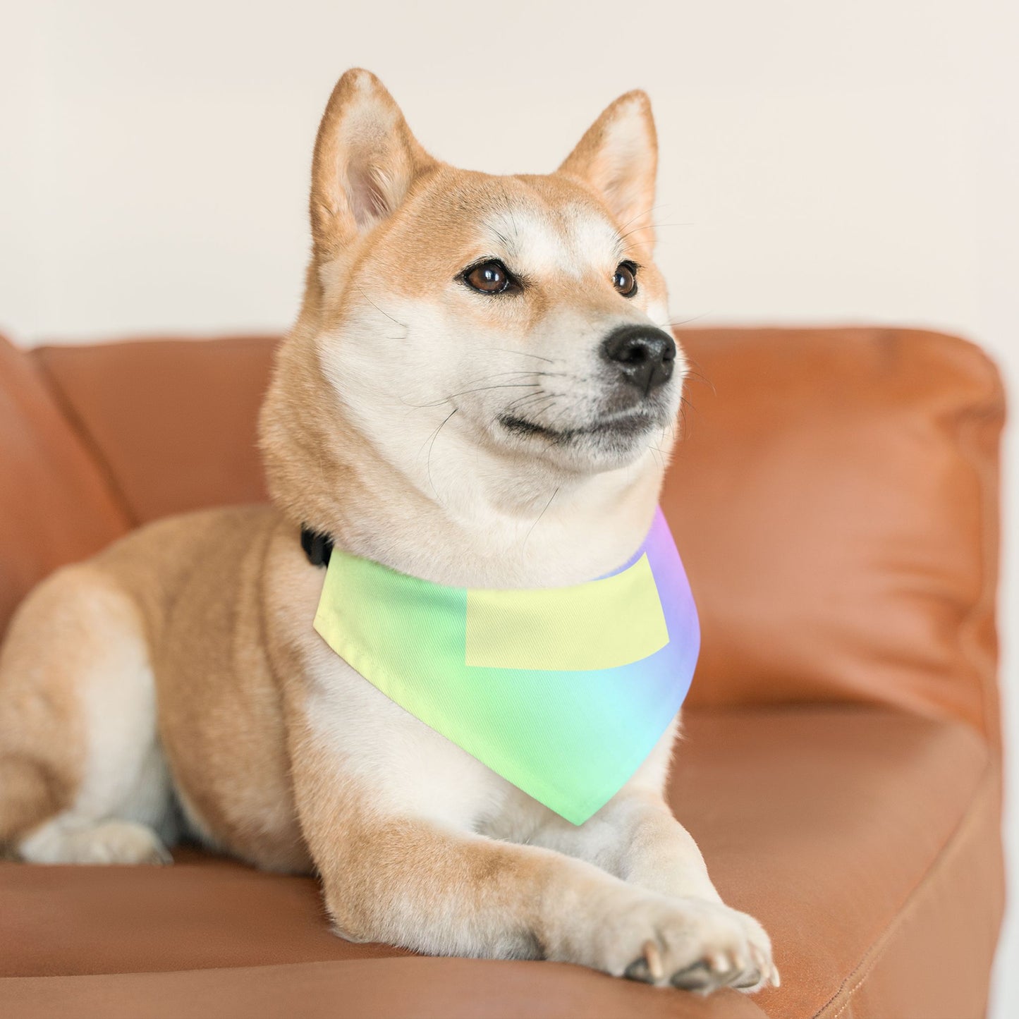 Iridescent Pastel Pet Bandana Collar - Holographic Rainbow Dog & Cat Accessory