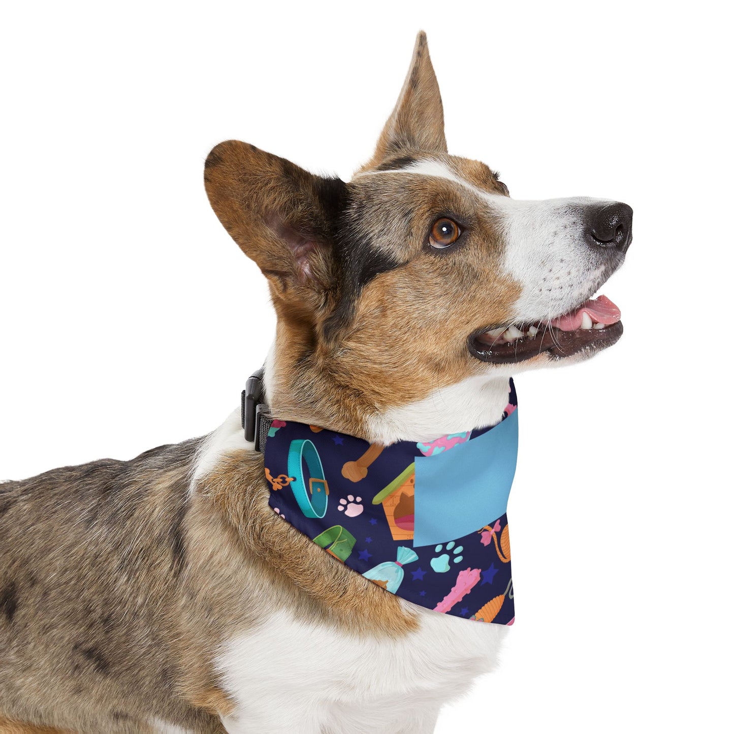 Personalized Pet Bandana Collar