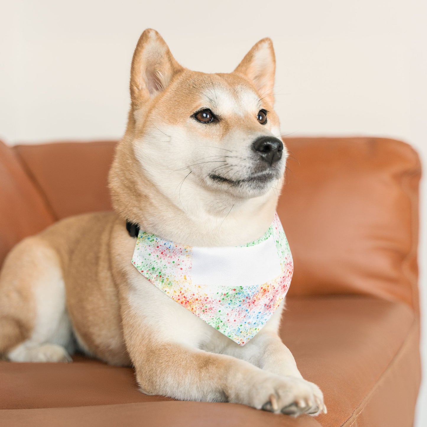 Personalized Watercolor Confetti Pet Bandana Collar — Colorful Dog & Cat Accessory