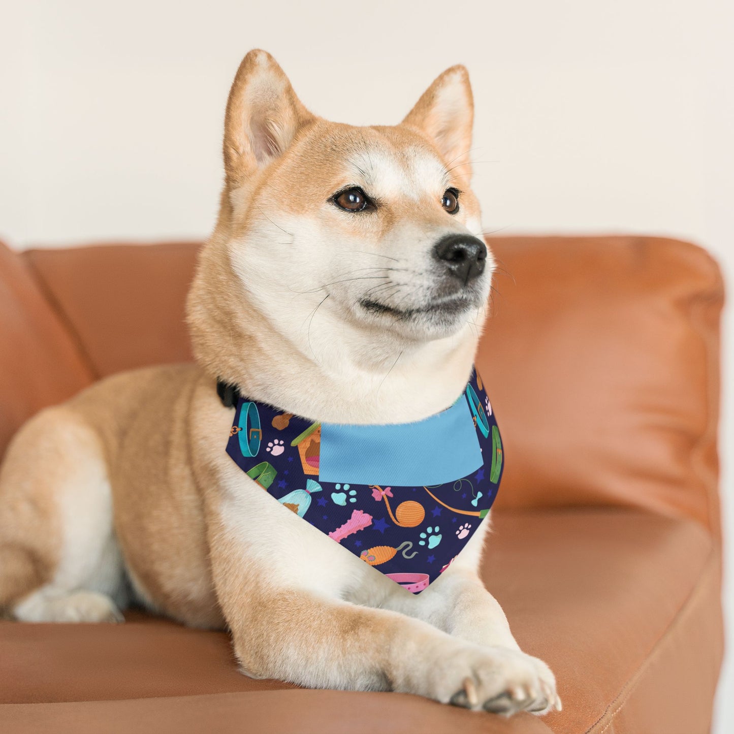 Personalized Pet Bandana Collar