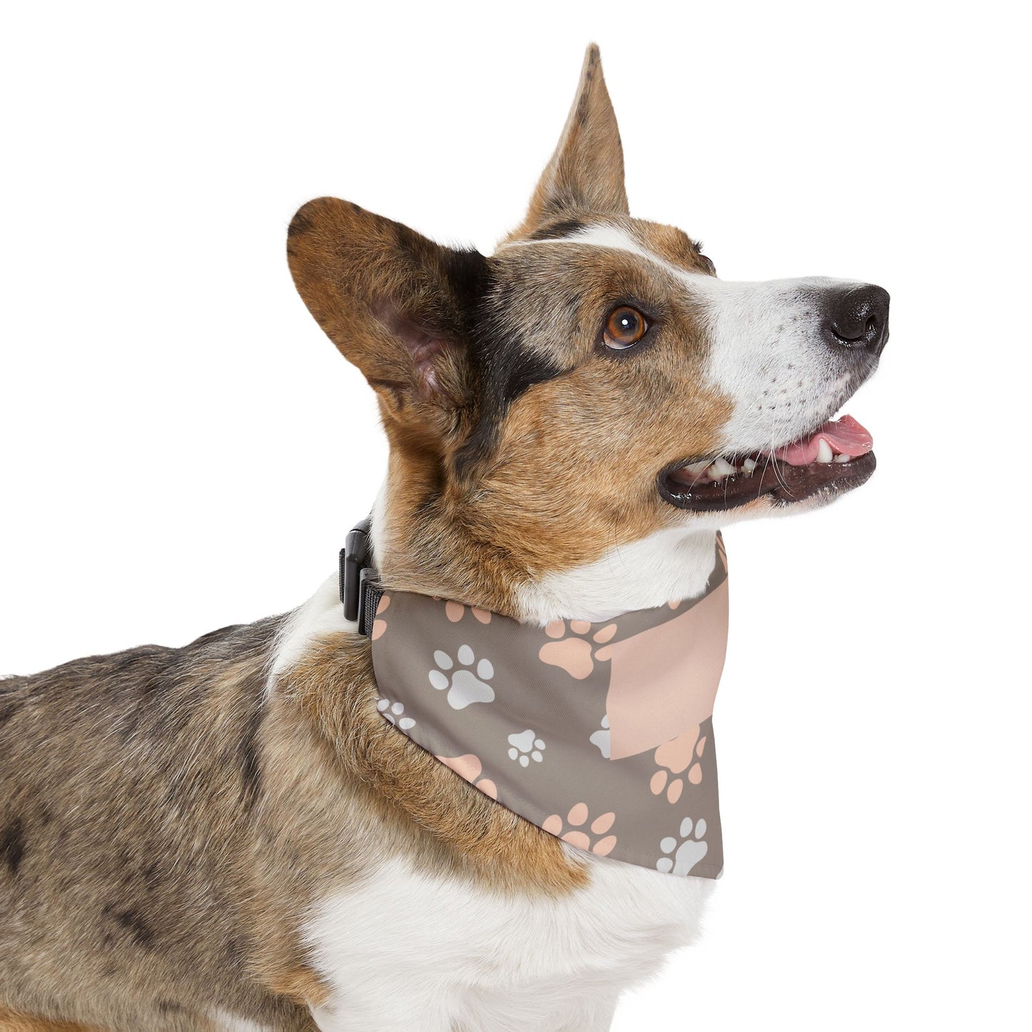Personalized Paw Print Pet Bandana Collar — Custom Name Pocket, Gray & Blush Dog Scarf