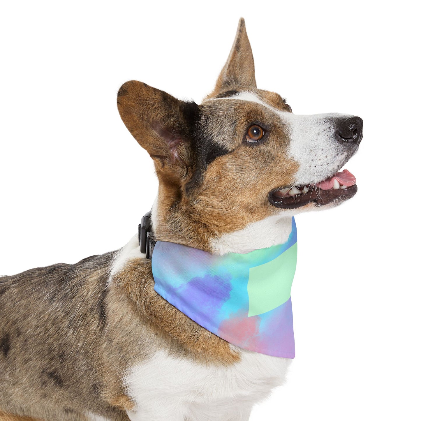 Pastel Watercolor Pet Bandana Collar with Blank Name Patch