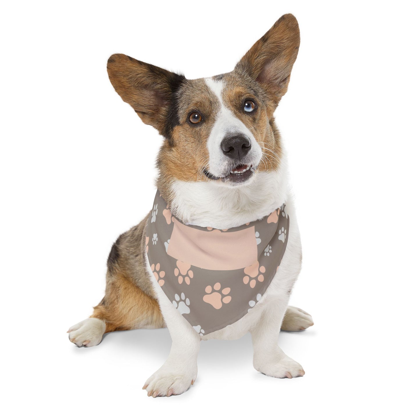 Personalized Paw Print Pet Bandana Collar — Custom Name Pocket, Gray & Blush Dog Scarf