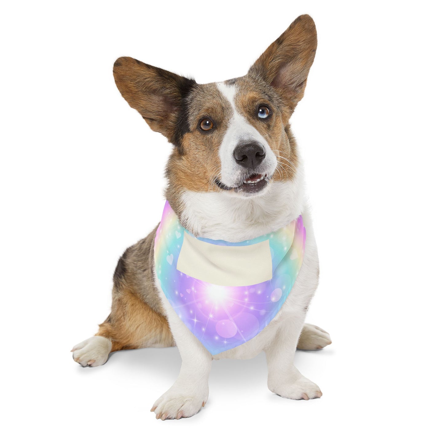 Personalized Pastel Magic Pet Bandana Collar — Custom Name Tag Area