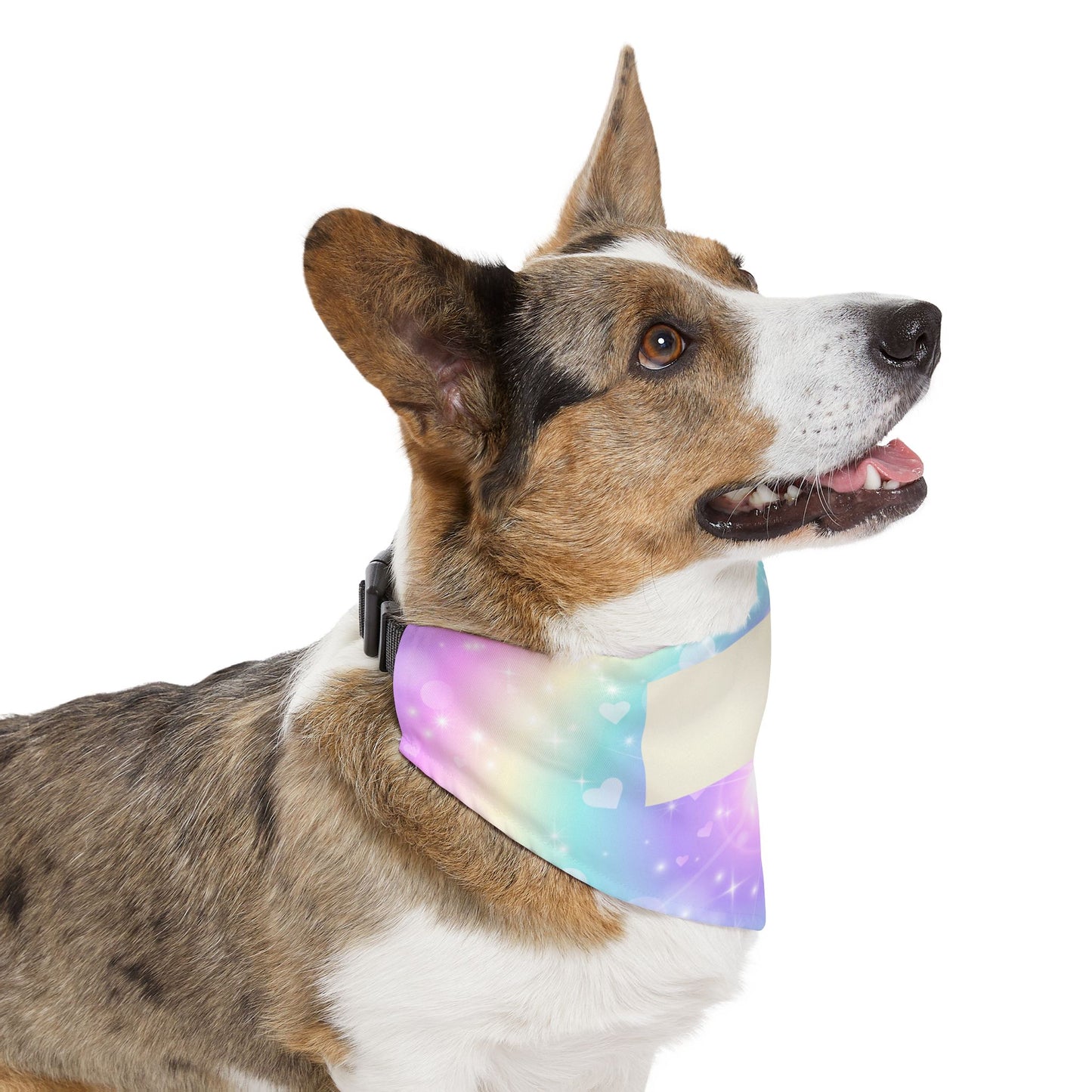 Personalized Pastel Magic Pet Bandana Collar — Custom Name Tag Area