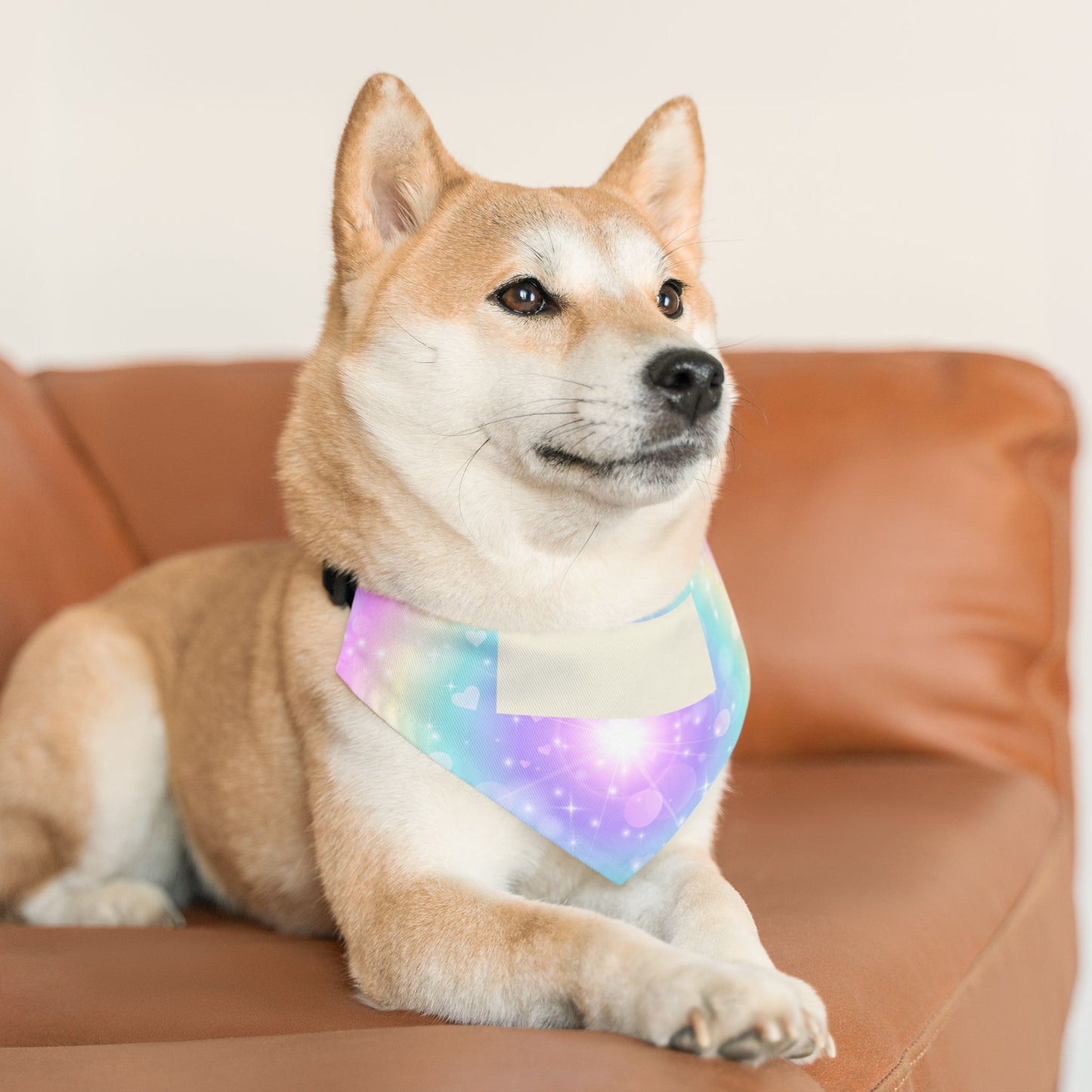 Personalized Pastel Magic Pet Bandana Collar — Custom Name Tag Area