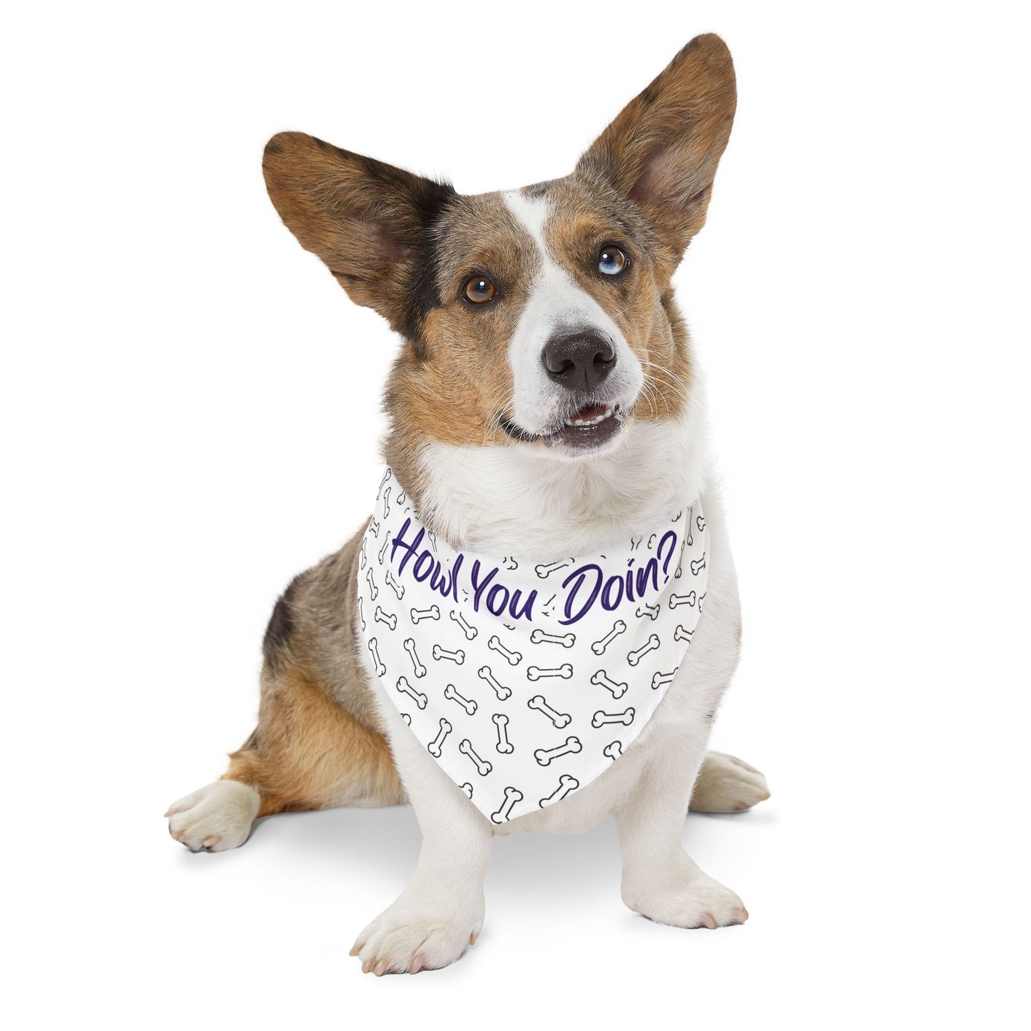 Howl You Doin? Dog Bandana Collar — Cute Bone Pattern Pet Accessory