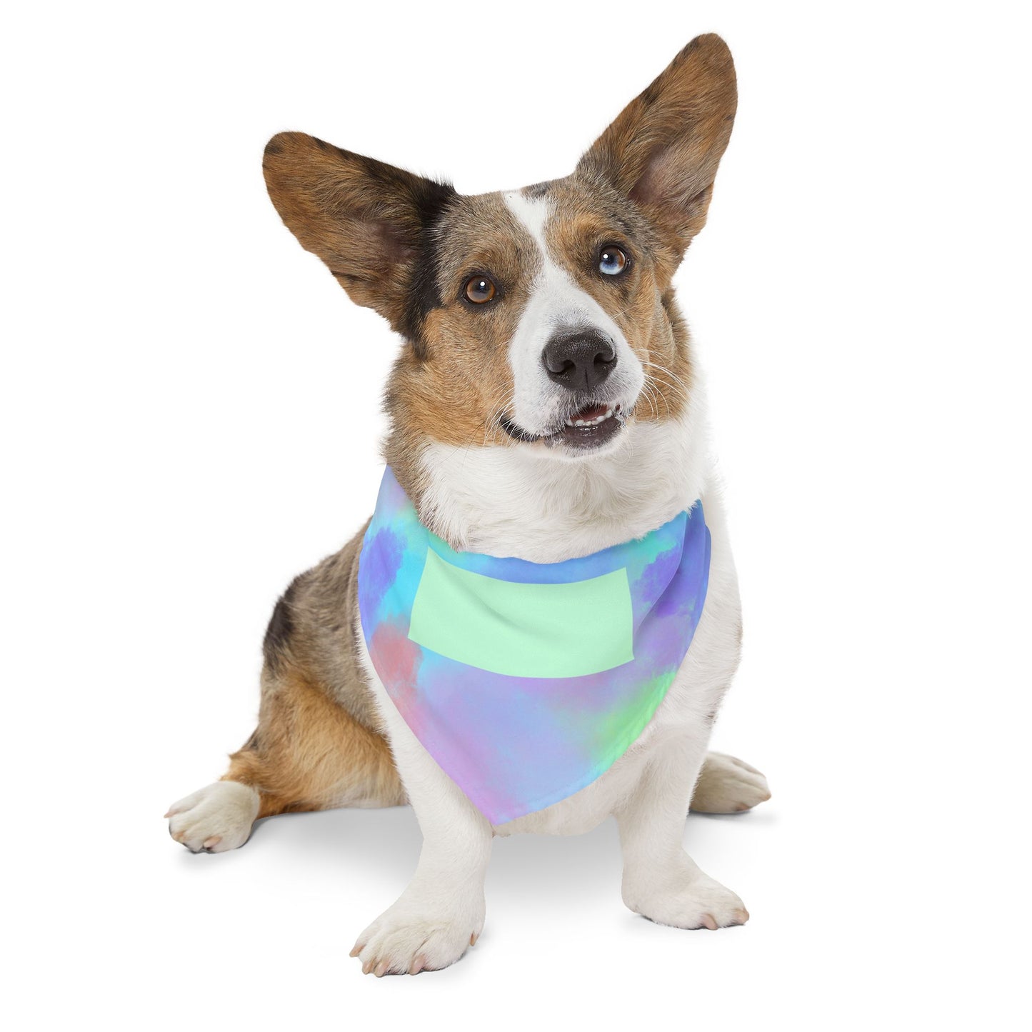 Pastel Watercolor Pet Bandana Collar with Blank Name Patch