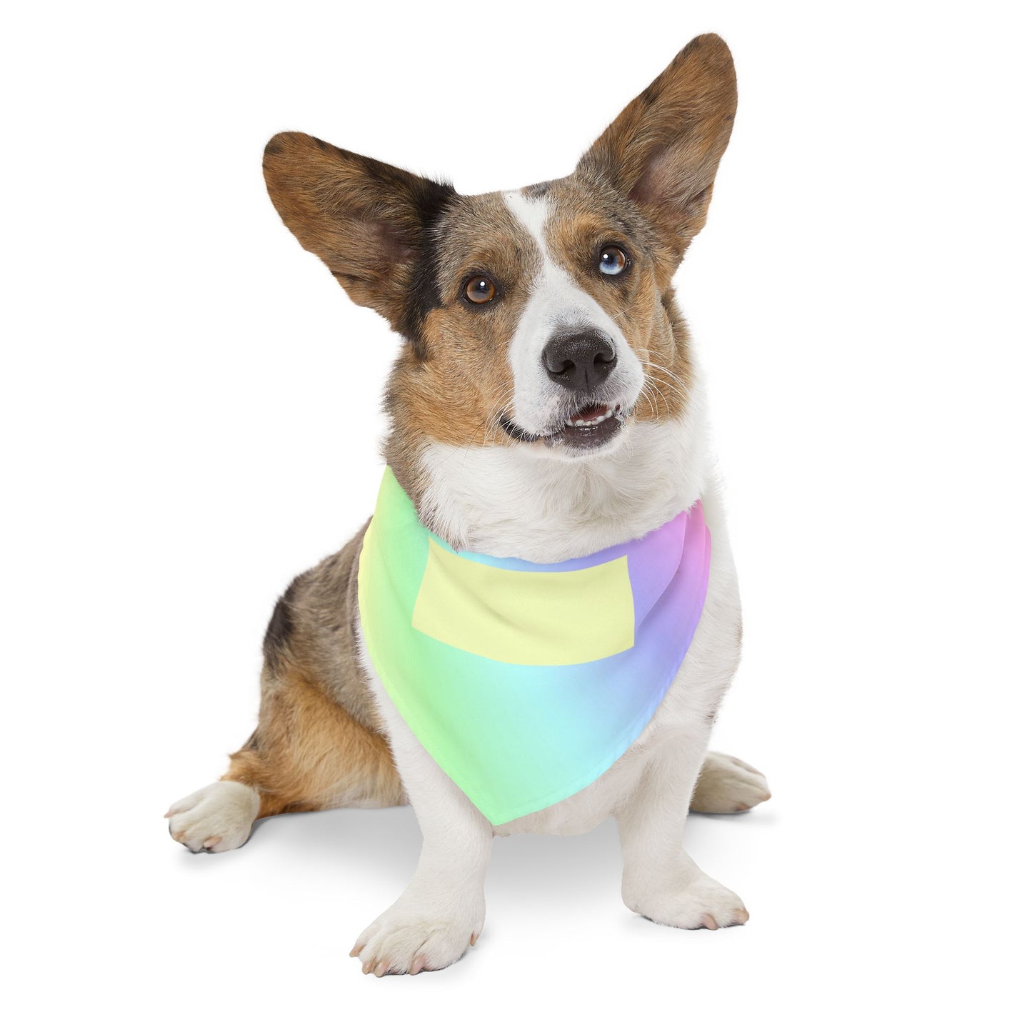 Iridescent Pastel Pet Bandana Collar - Holographic Rainbow Dog & Cat Accessory