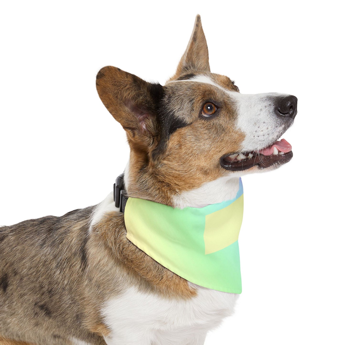 Iridescent Pastel Pet Bandana Collar - Holographic Rainbow Dog & Cat Accessory