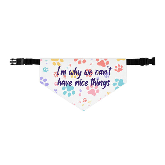 Pet Bandana Collar — "I’m Why We Can’t Have Nice Things" Paw Print Collar Accessory