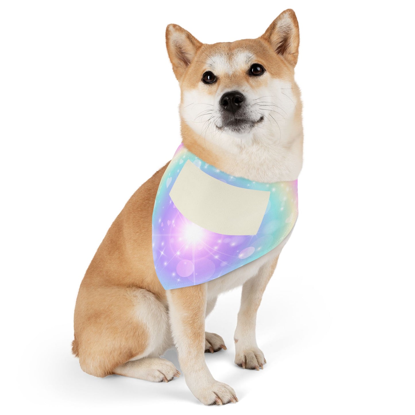 Personalized Pastel Magic Pet Bandana Collar — Custom Name Tag Area