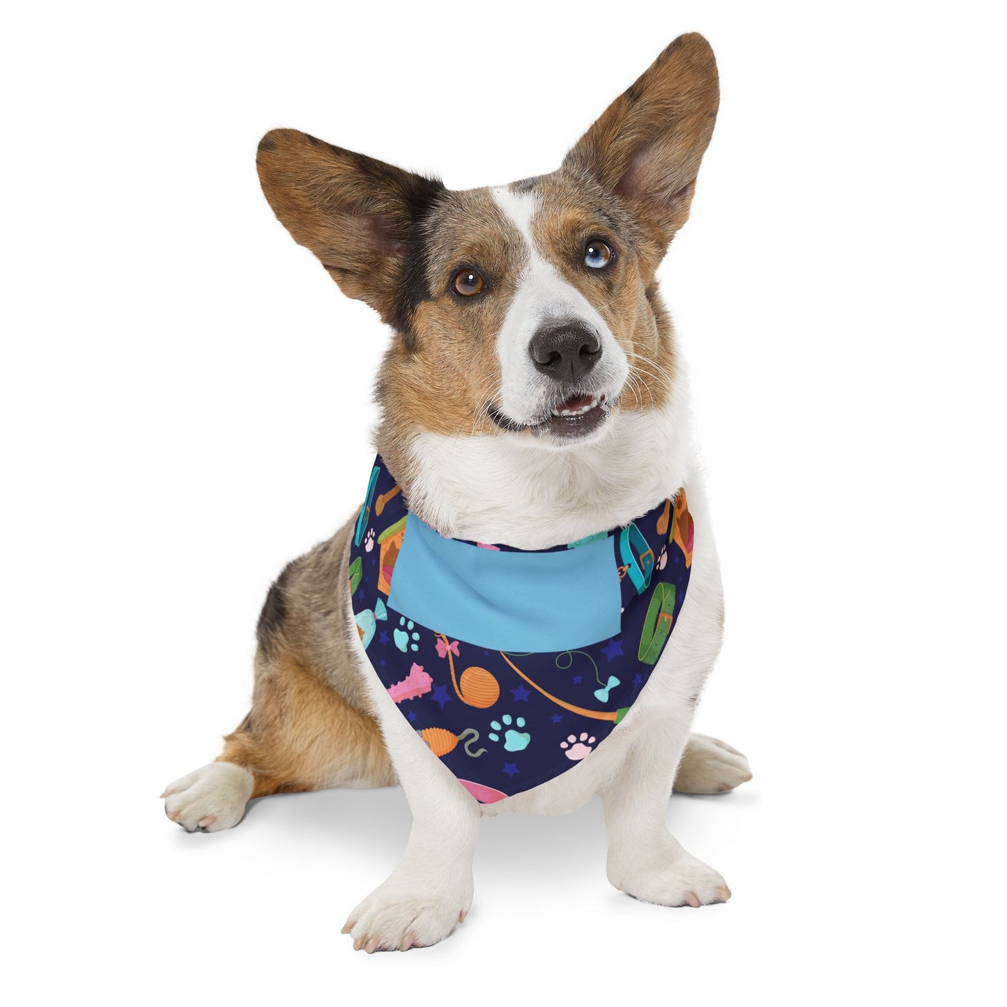 Personalized Pet Bandana Collar
